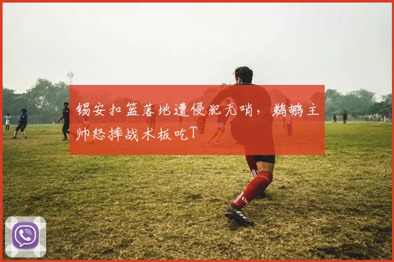锡安扣篮落地遭侵犯无哨，鹈鹕主帅怒摔战术板吃T